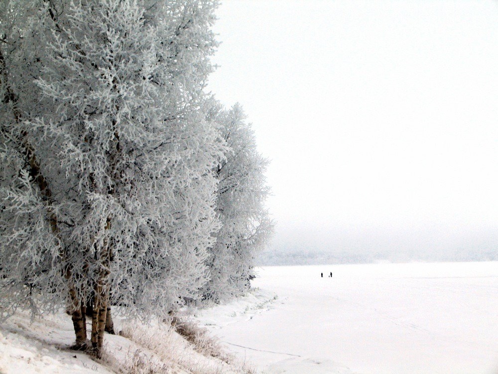 Photography by A2JPhoto84 for DesignCrowd (Community Contests) | Design #9062509