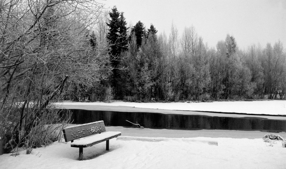 Photography by georgethedog for DesignCrowd (Community Contests) | Design #9062523