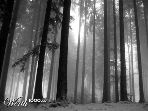 Photography by donebyilu