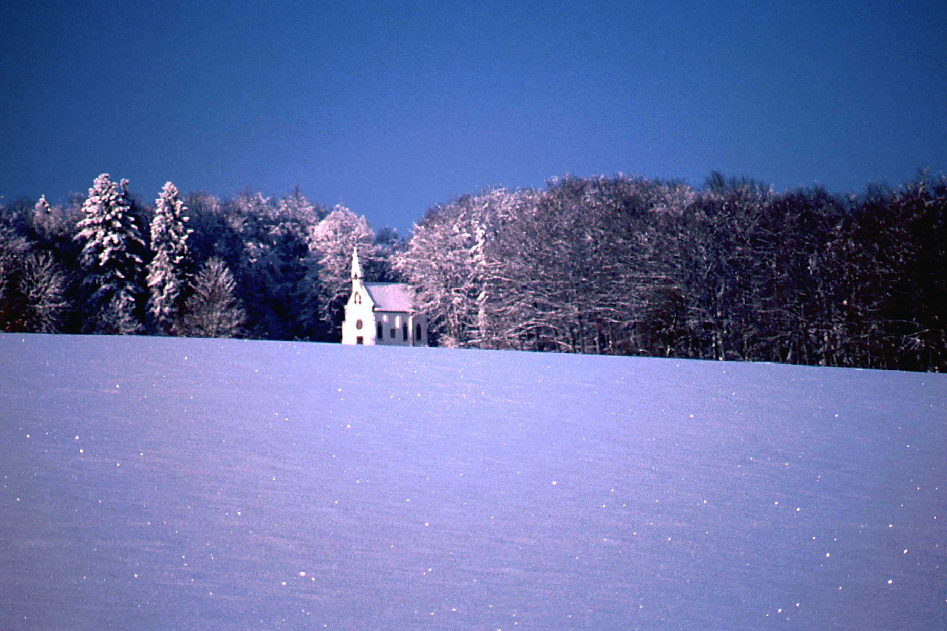 Fotografía por Bastet para DesignCrowd (Community Contests) | Diseño #9062620