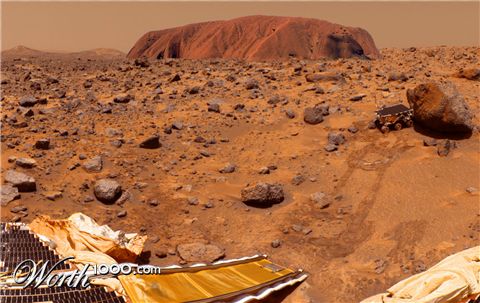 Photoshop Design by Pixelicious