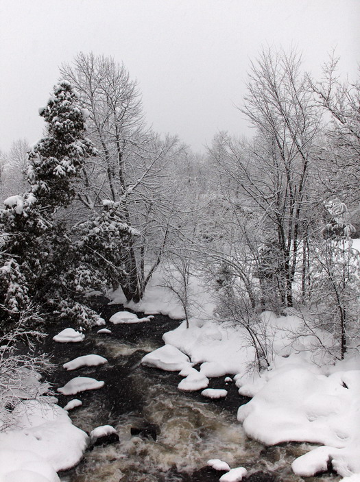 Photography by UNIquelyCanadian for DesignCrowd (Community Contests) | Design #9062612