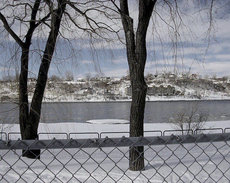 Fotografía por Jethrolutt para DesignCrowd (Community Contests) | Diseño #9062563