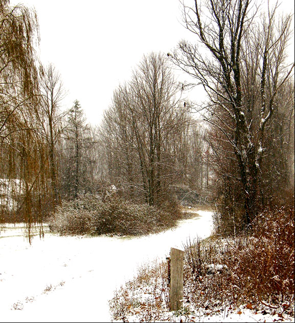 Photography by LollyPreen for DesignCrowd (Community Contests) | Design #9062645