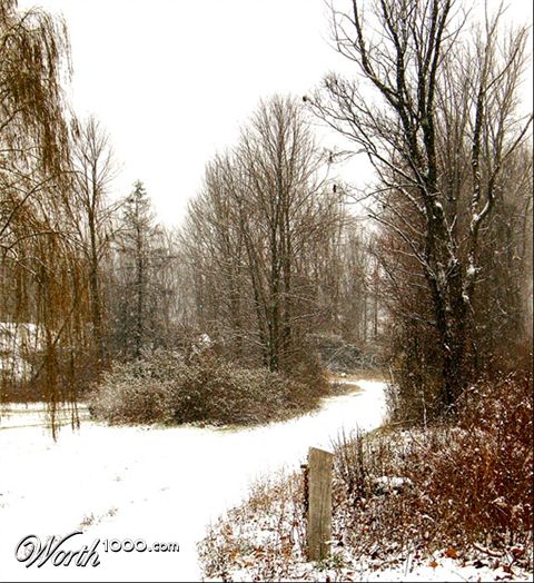 Photography by LollyPreen