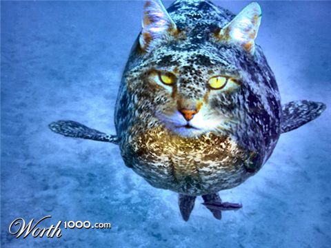 Photoshop Design by cougar78