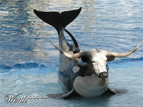 Photoshop Design by JClark8220