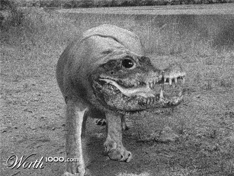 Photoshop Design by mattbyng