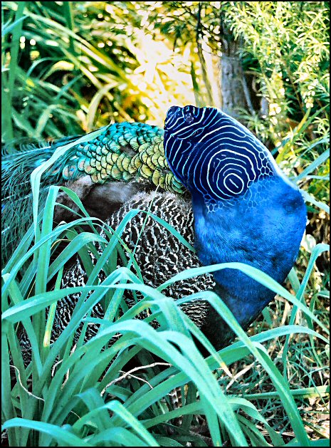 Photoshop Design by Juicer for DesignCrowd (Community Contests) | Design #9060049