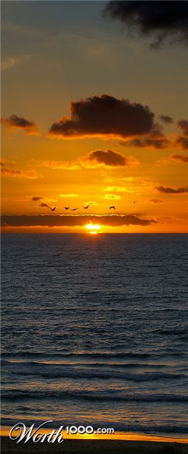 Photography by smarti77