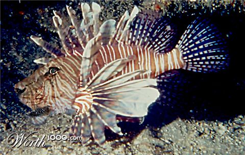 Photoshop Design by Silverhair1960