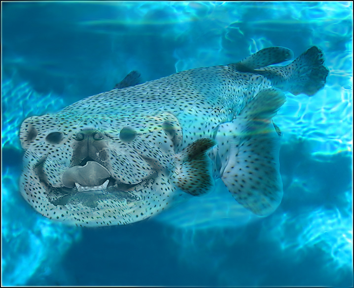 Photoshop Design by wagnerm25 for DesignCrowd (Community Contests) | Design #9060059