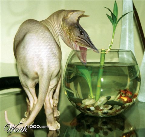 Photoshop Design by nilo111175