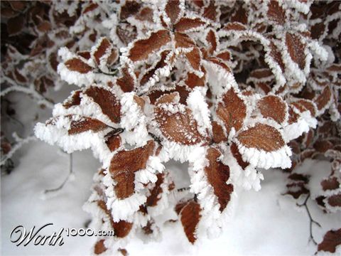 Photography by Maddyy