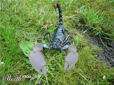 Photoshop Design by VelVetz