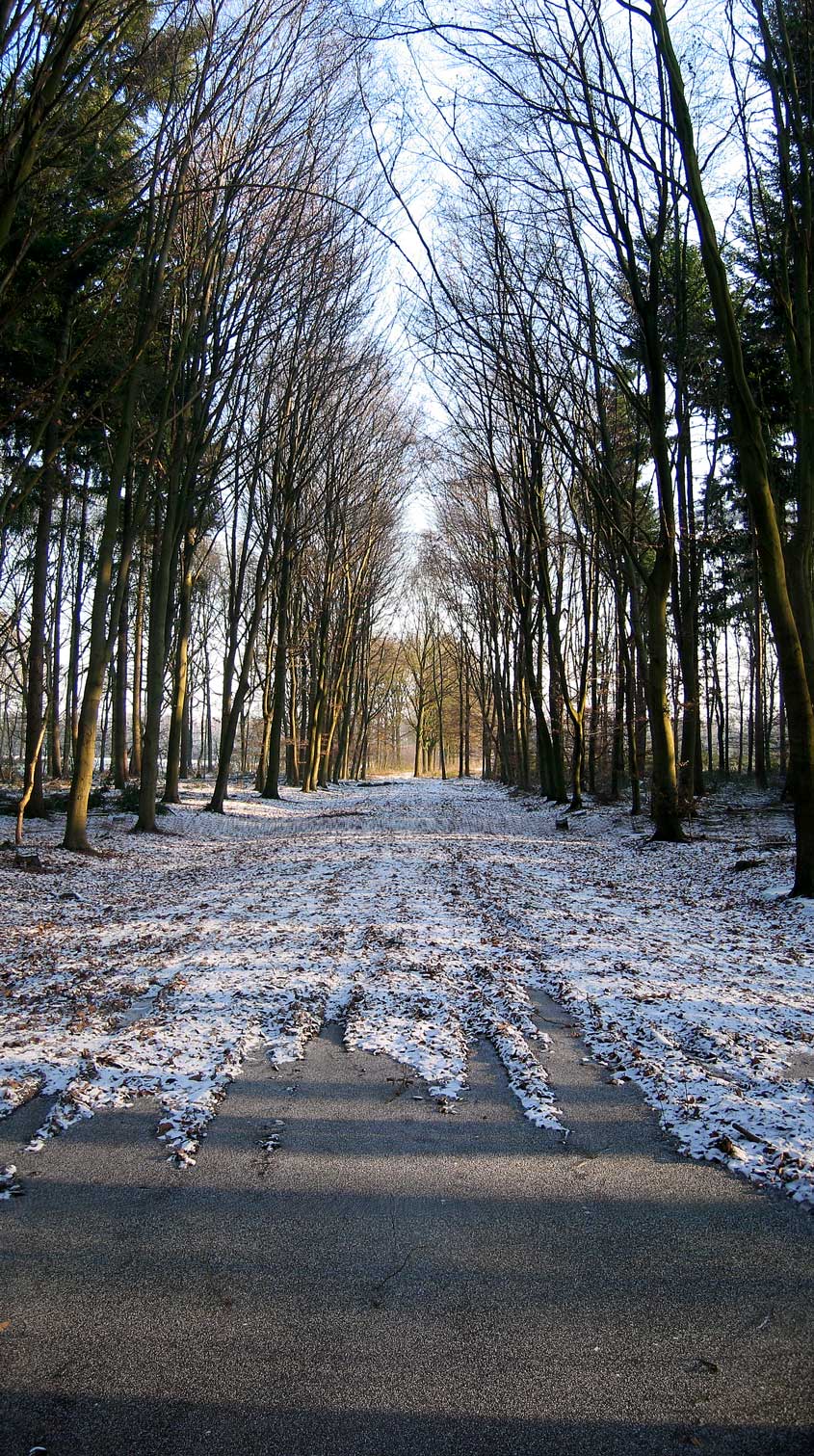 Photography by egonlinden for DesignCrowd (Community Contests) | Design #9067703