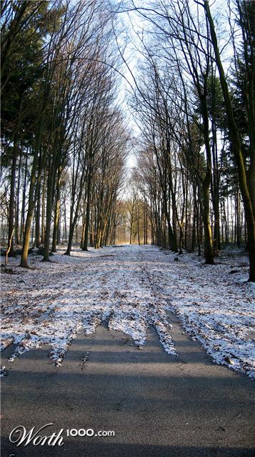 Photography by egonlinden