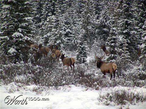 Photography by whlutz