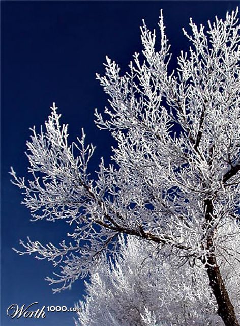 Photography by cakeladybarb