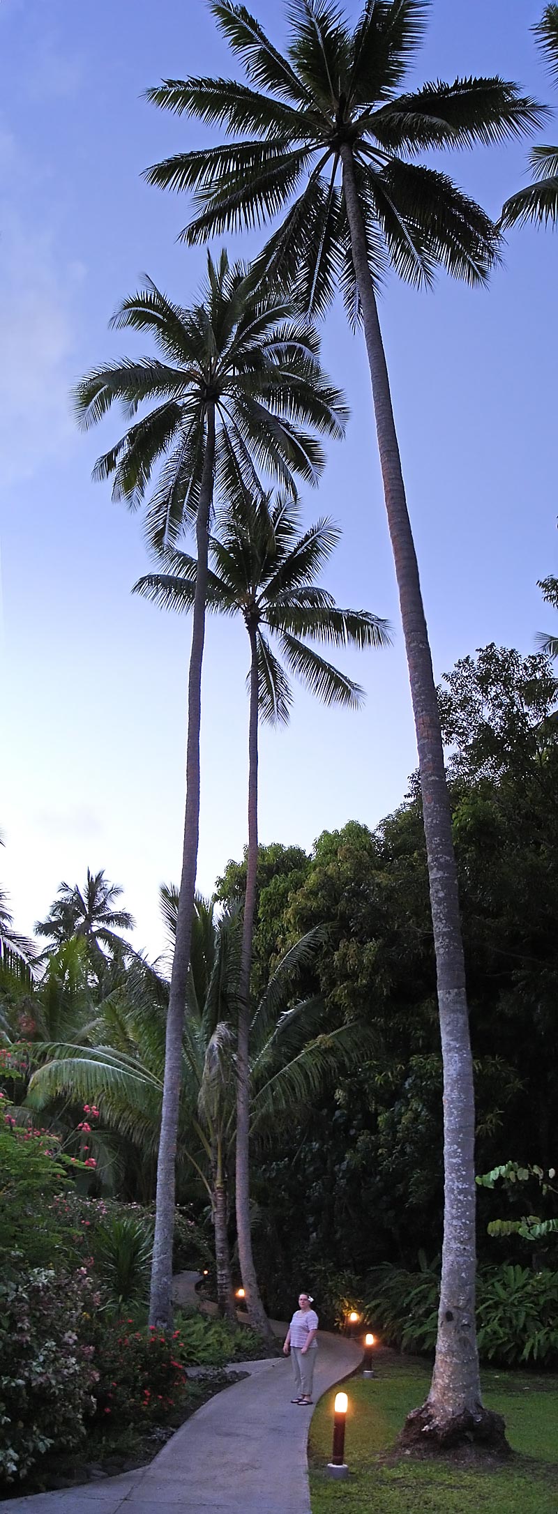 Photography by desertpenguin for DesignCrowd (Community Contests) | Design #9067707