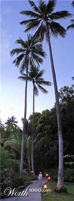 Photography by desertpenguin