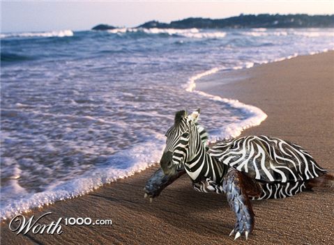 Photoshop Design by GTAPEX