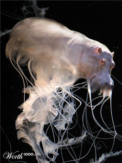 Photoshop Design by Pixelicious