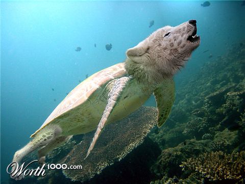 Photoshop Design by ruivieira