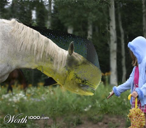 Photoshop Design by lilsmileybug