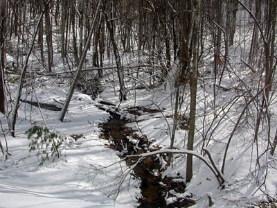 Photographie par azchick pour DesignCrowd (Community Contests) | Design #9062595