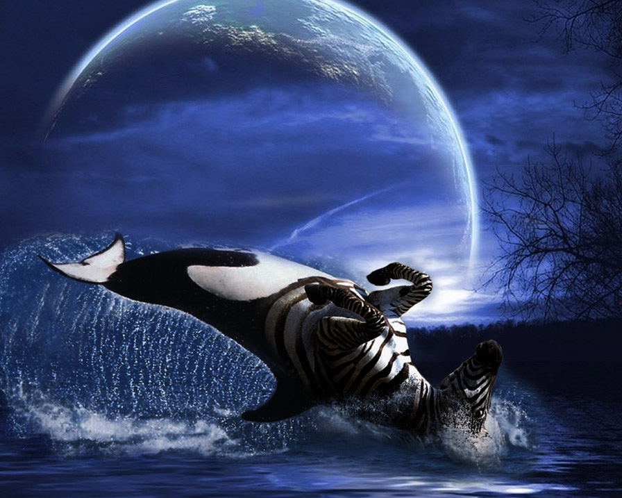 Photoshop Design by bingobaby for DesignCrowd (Community Contests) | Design #9060148