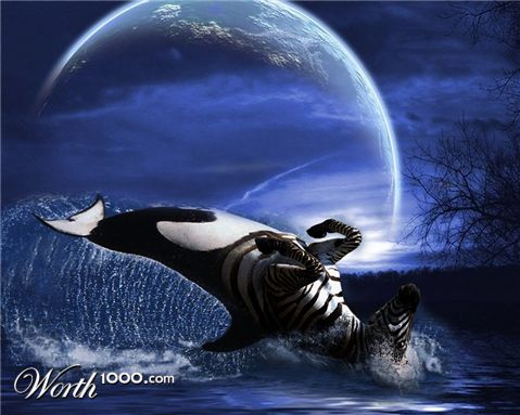 Photoshop Design by bingobaby