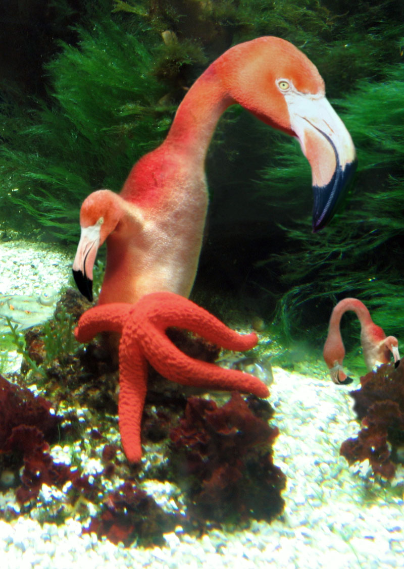 Photoshop Design by Partyshot for DesignCrowd (Community Contests) | Design #9060127