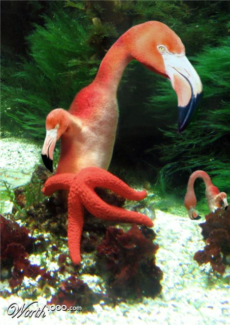 Photoshop Design by Partyshot