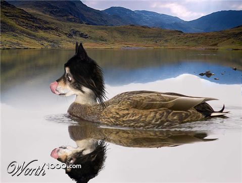 Photoshop Design by Alextreme05AxG