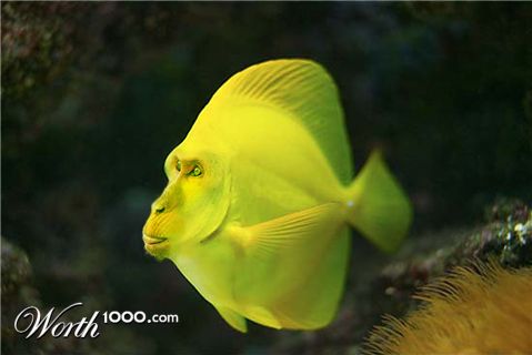 Photoshop Design by Najeeb ul Hasan