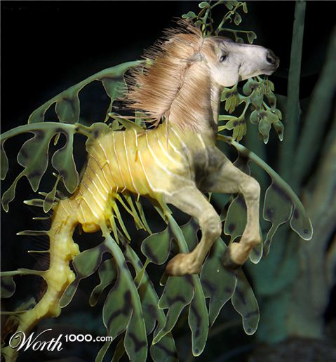 Photoshop Design by EyEars