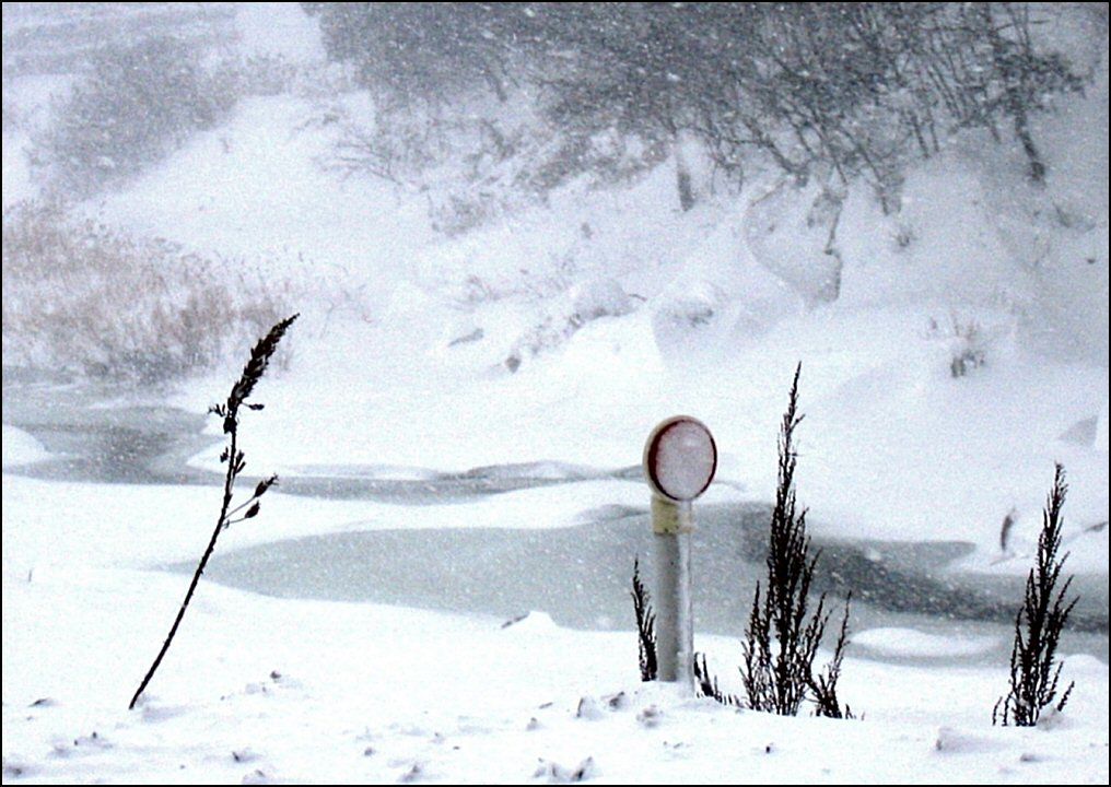 Photography by Juicer for DesignCrowd (Community Contests) | Design #9058833