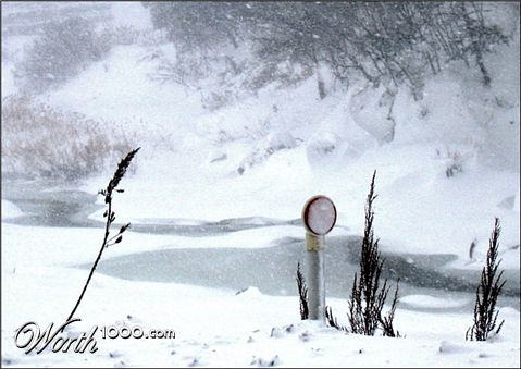 Photography by Juicer