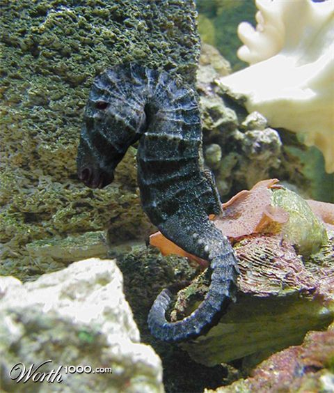 Photoshop Design by Jelger