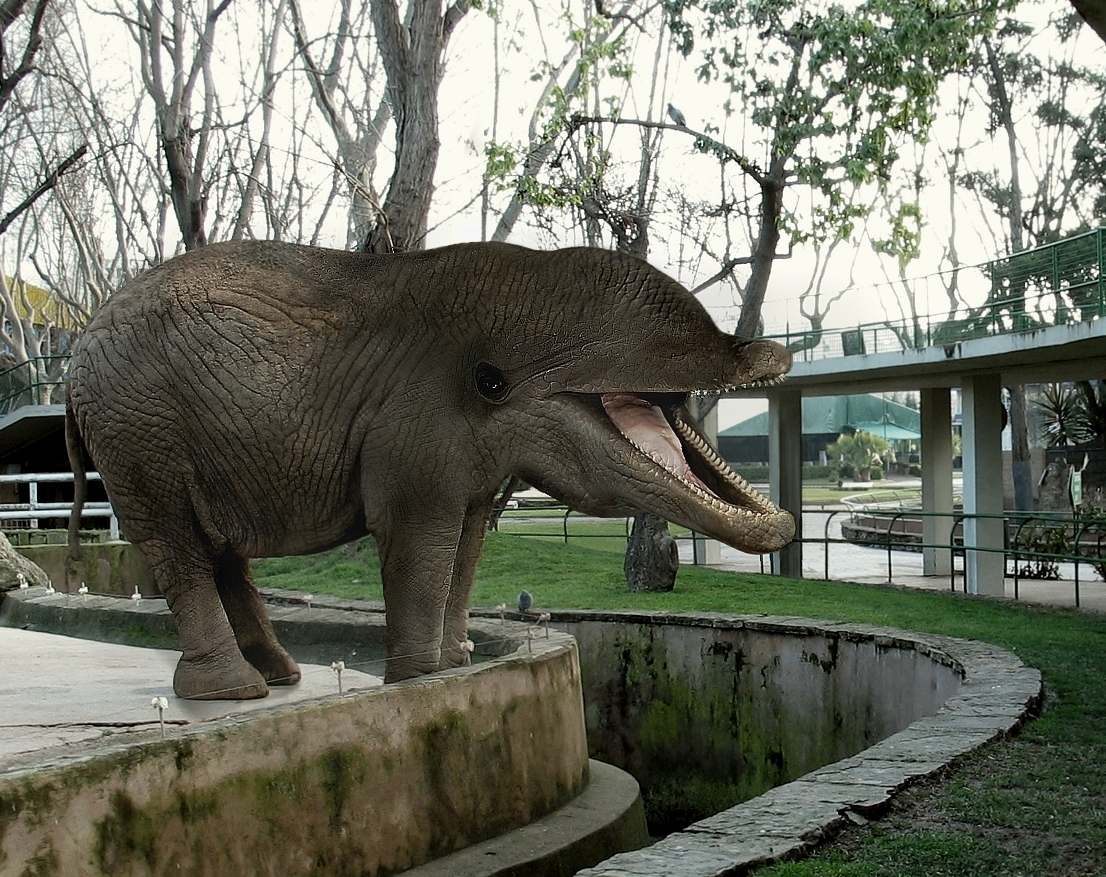 Photoshop-Design von ticketyboo für DesignCrowd (Community Contests) | Design #9060244