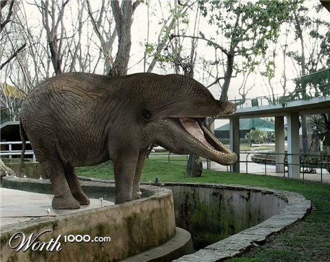 Photoshop Design by ticketyboo