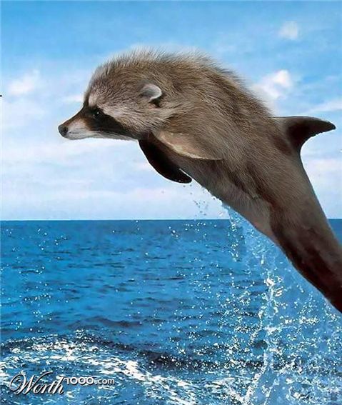 Photoshop Design by Ross Harried