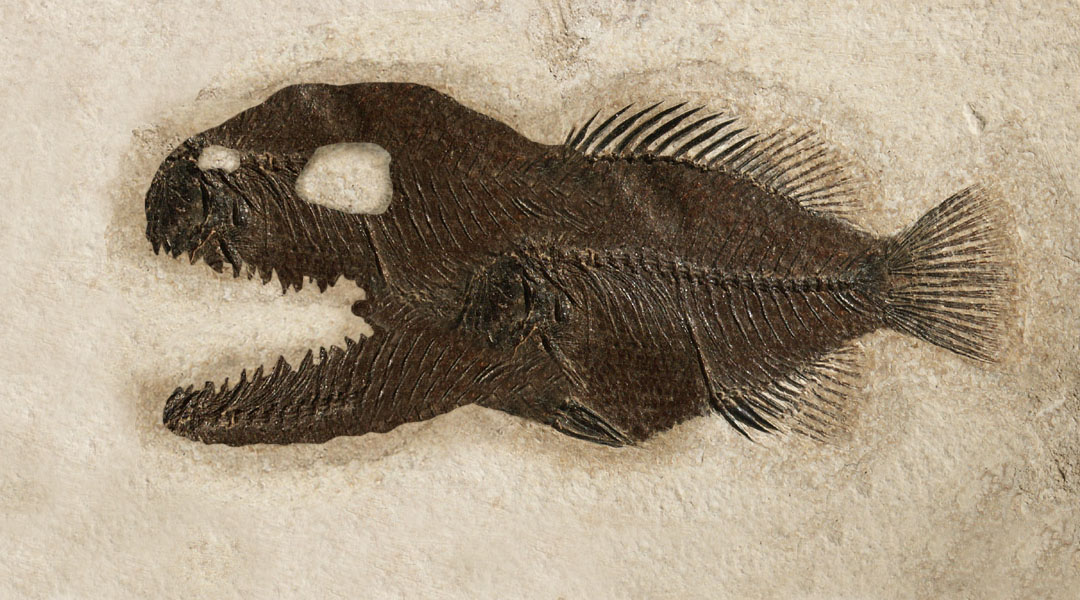 Photoshop-Design von Logoinvision für DesignCrowd (Community Contests) | Design #9060142