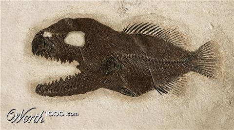 Photoshop Design by Logoinvision