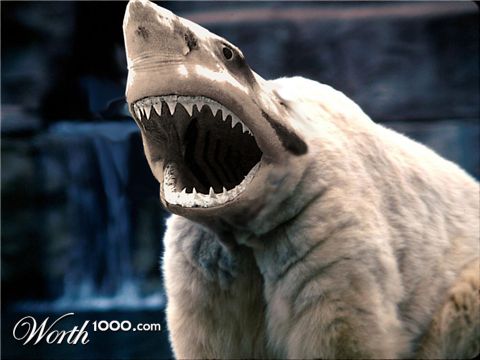 Photoshop Design by Musicguy13