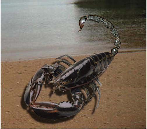 Photoshop-Design von MsgtBob für DesignCrowd (Community Contests) | Design #9060253