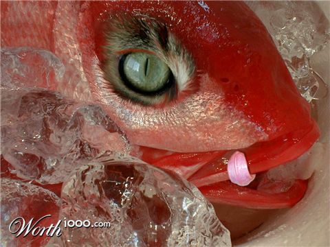 Photoshop Design by sugarcane