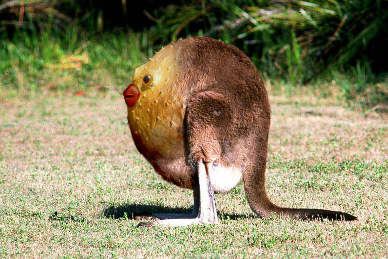 Photoshop Design by yurumi for DesignCrowd (Community Contests) | Design #9060456