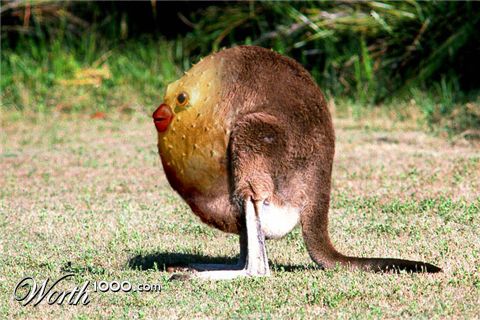 Photoshop Design by yurumi